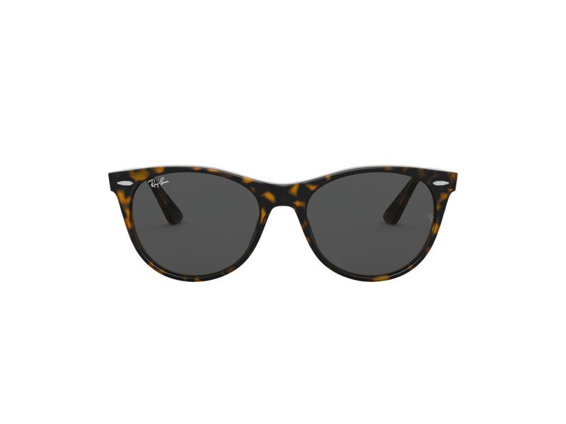 Ray-Ban Wayfarer Ii Ochelari de Soare RB 2185 1292/B1