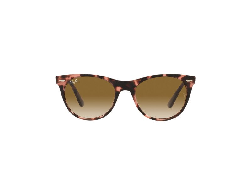 Ray-Ban Wayfarer Ii Ochelari de Soare RB 2185 1334/51