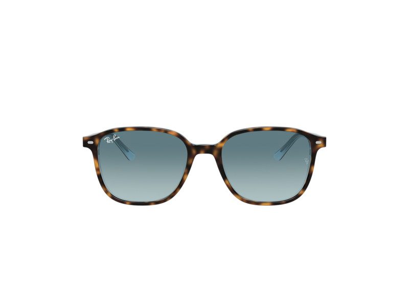 Ray-Ban Leonard Ochelari de Soare RB 2193 1316/3M