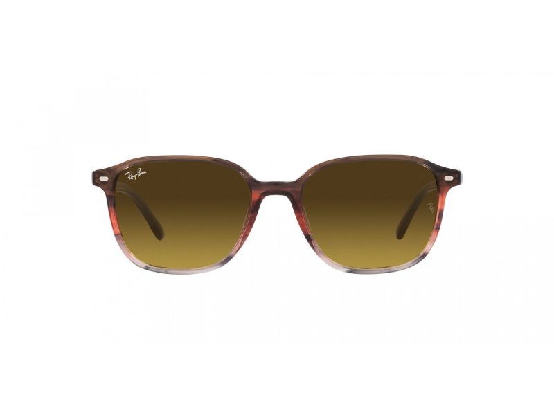 Ray-Ban Leonard Ochelari de Soare RB 2193 138085