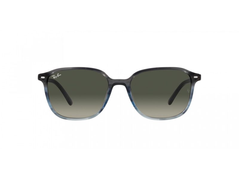 Ray-Ban Leonard Ochelari de Soare RB 2193 138171