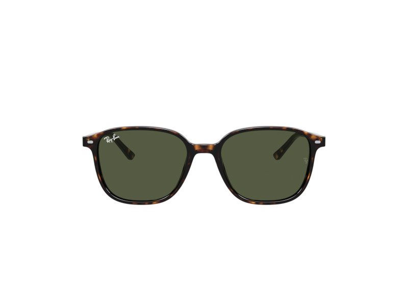 Ray-Ban Leonard Ochelari de Soare RB 2193 902/31