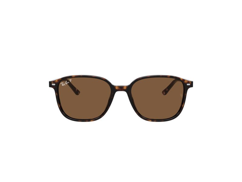 Ray-Ban Leonard Ochelari de Soare RB 2193 902/57