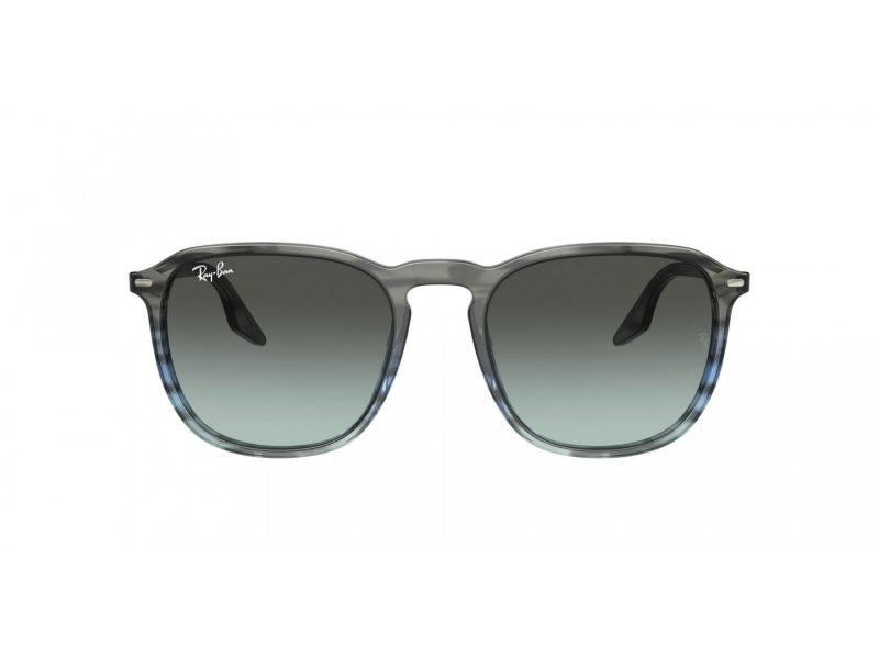 Ray-Ban Ochelari de Soare RB 2203 1391GK