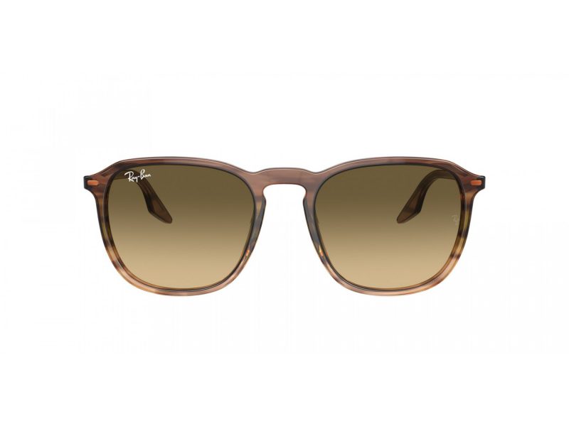 Ray-Ban Ochelari de Soare RB 2203 13920A