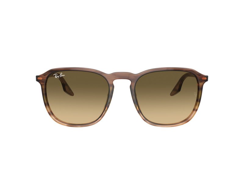 Ray-Ban Ochelari de Soare RB 0RB2203 13920A