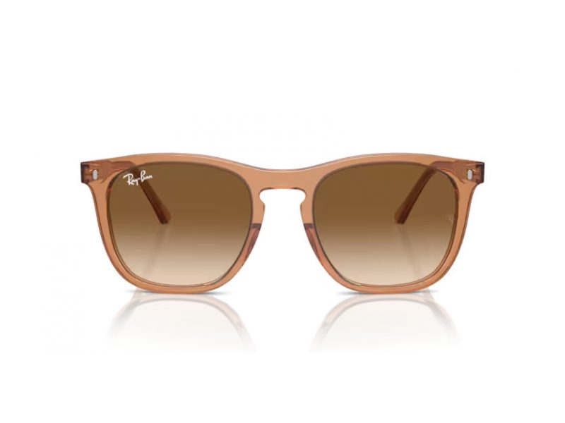 Ray-Ban Ochelari de Soare RB 2210 676451