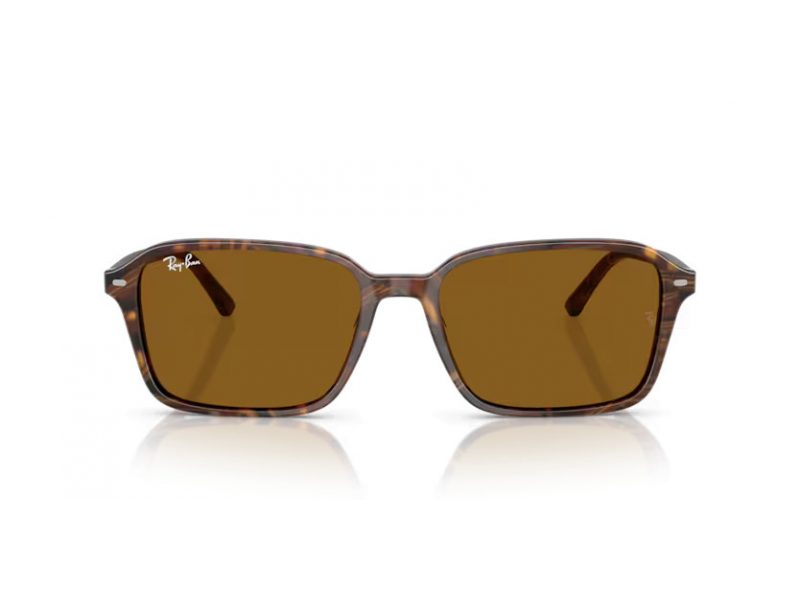 Ray-Ban Raimond Ochelari de Soare RB 2231 141833