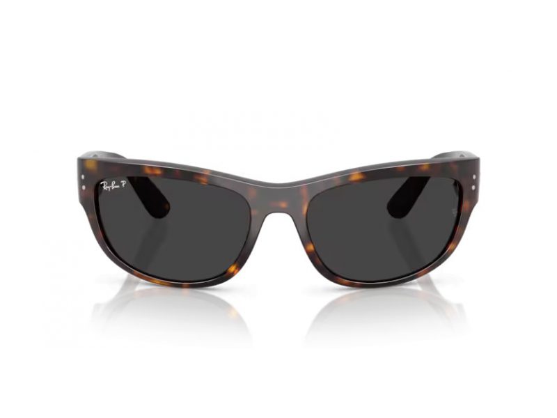 Ray-Ban Mega Balorama Ochelari de Soare RB 2289 902/48