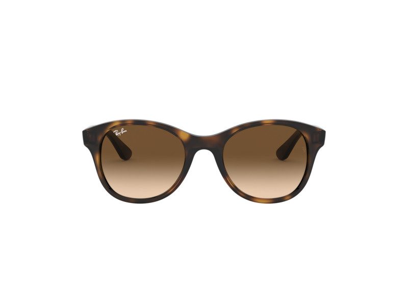 Ray-Ban Ochelari de Soare RB 4203 710/13