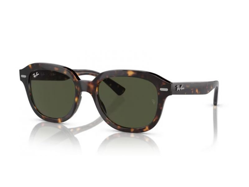 Ray-Ban Erik Ochelari de Soare RB 4398 902/31