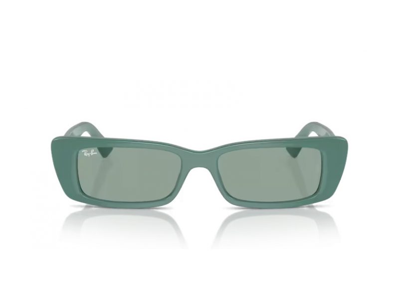 Ray-Ban Teru Ochelari de Soare RB 4425 676282