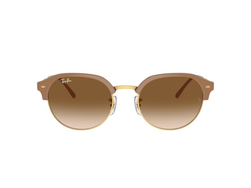 Ray-Ban Ochelari de Soare RB 0RB4429 672151