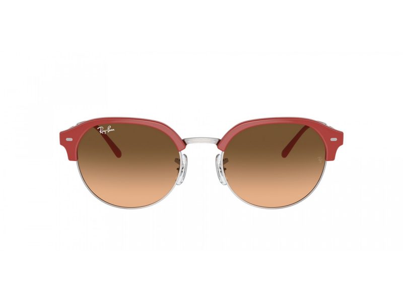 Ray-Ban Ochelari de Soare RB 4429 67223B