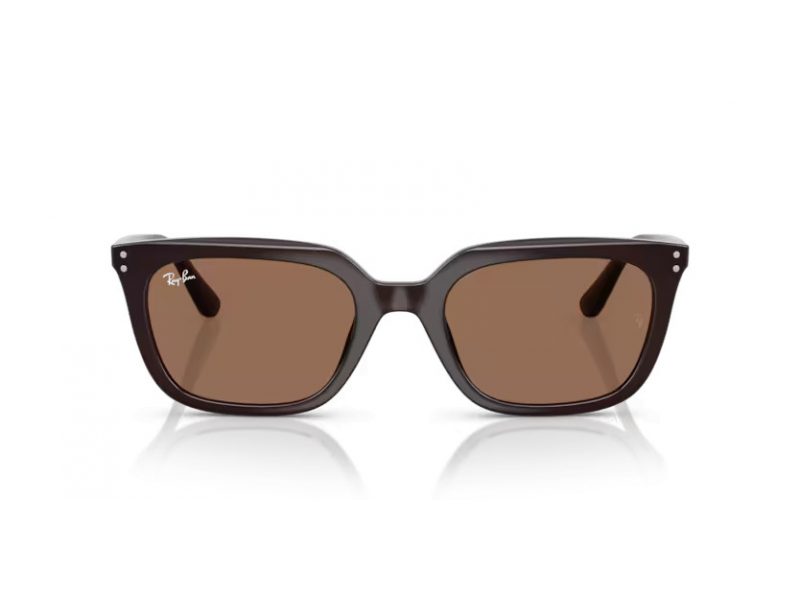 Ray-Ban Ochelari de Soare RB 4439D 623173