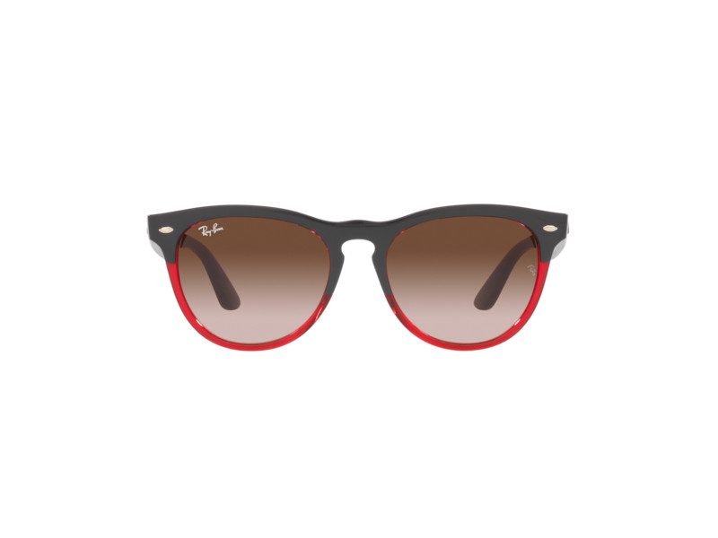 Ray-Ban Iris Ochelari de Soare RB 4471 6631/13