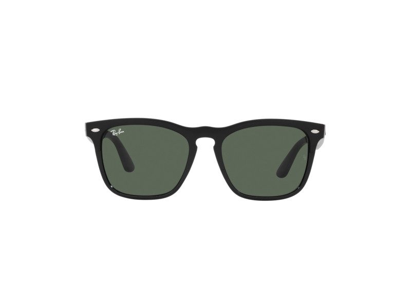 Ray-Ban Steve Ochelari de Soare RB 4487 6629/71