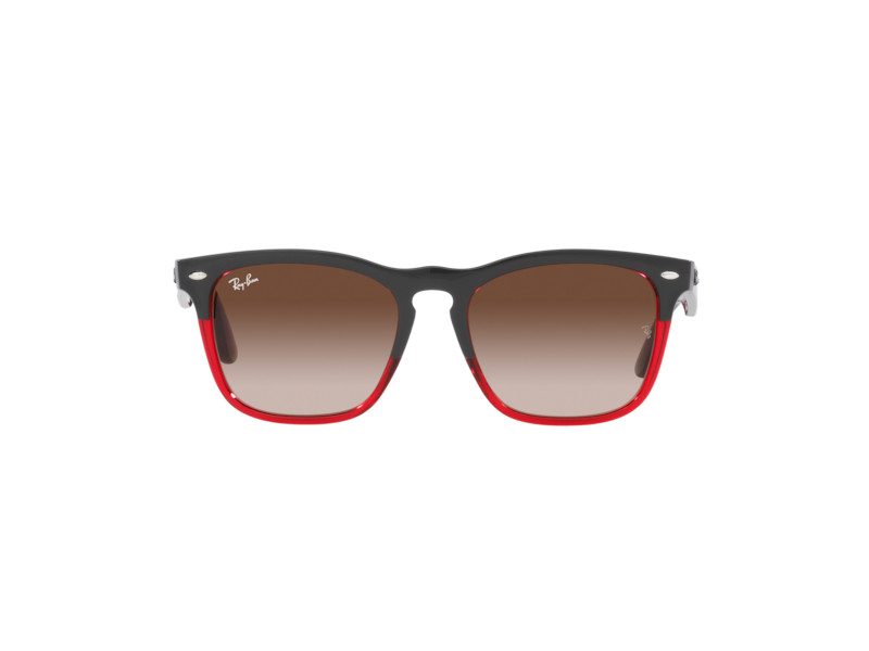 Ray-Ban Steve Ochelari de Soare RB 4487 6631/13